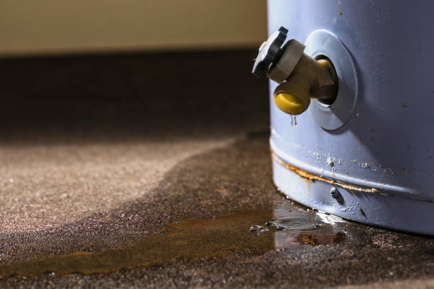 Water damage restoration mold remediation in WA