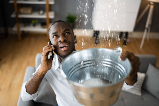 Best Water damage mitigation services  in Ocean Park, WA