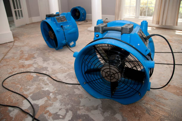 Best Professional water damage repair  in Ocean Park, WA