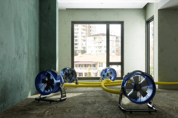 Best Emergency water damage restoration  in Ocean Park, WA